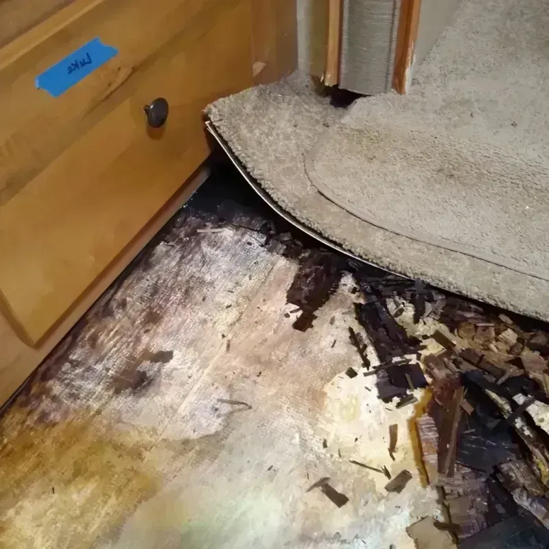 Wood Floor Water Damage in National Harbor, MD